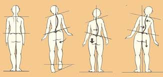 Equilibrage du bassin