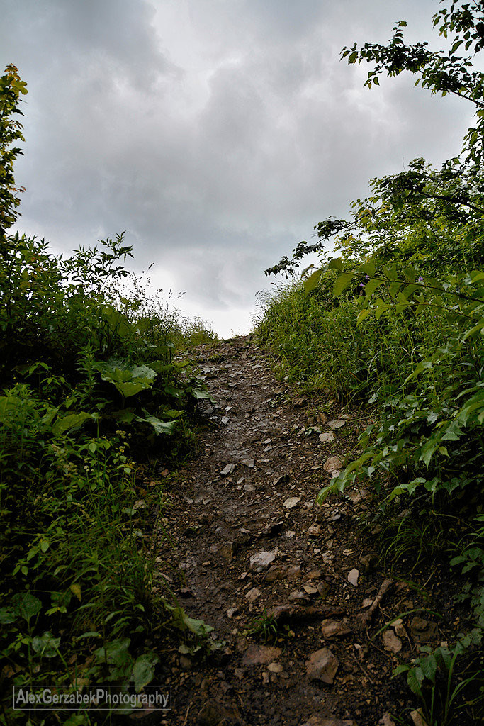 steiler Waldweg