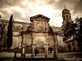 Baeza - Inmitten von Olivenhainen