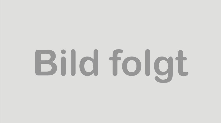 2. Mannschaft (2. Liga Regional)