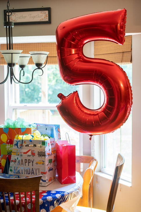 Braydens-5th-Bday-62.jpg