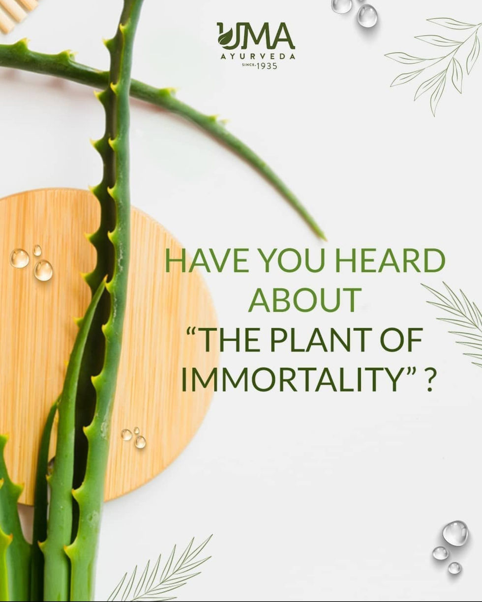 UMA Ayurveda Graphics 02