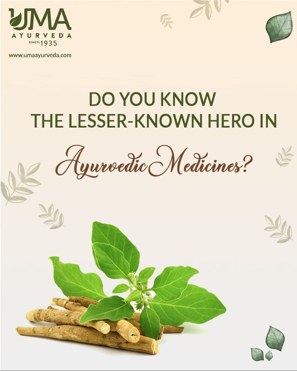 UMA Ayurveda Graphics 03