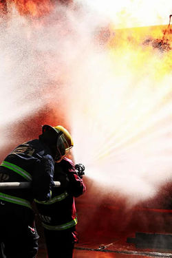 INCENDIOS (25)