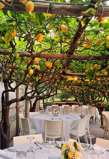A delicious dinner can be served at a farmhouse terrace, under an incredible roof of lemon trees