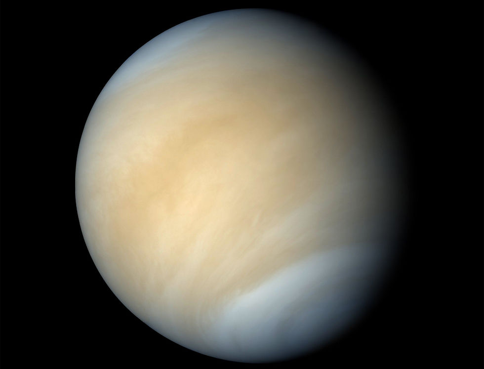 venus 2.jpg