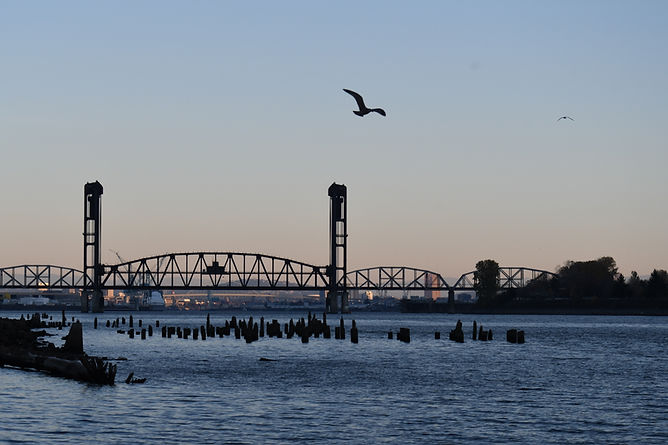 black_metal_bridge_silhouette-scopio-770