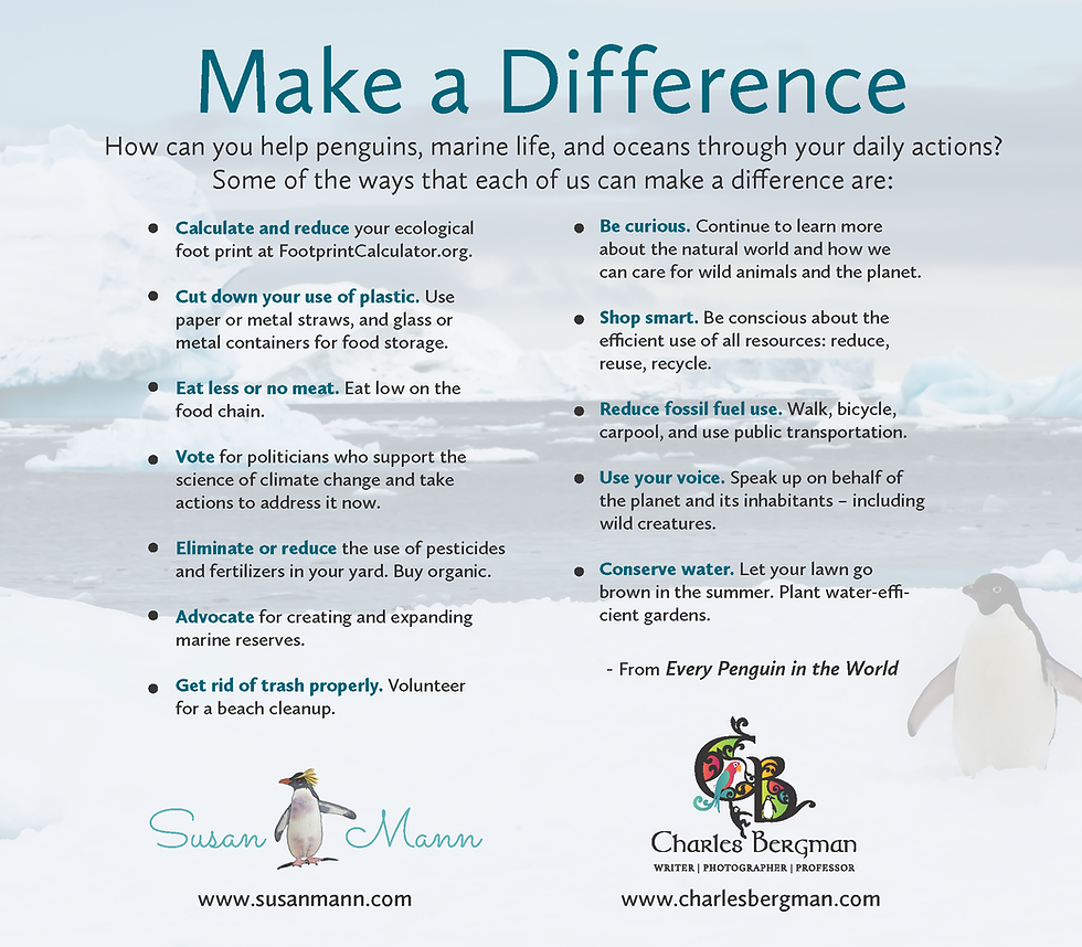 How to make a difference for penguins