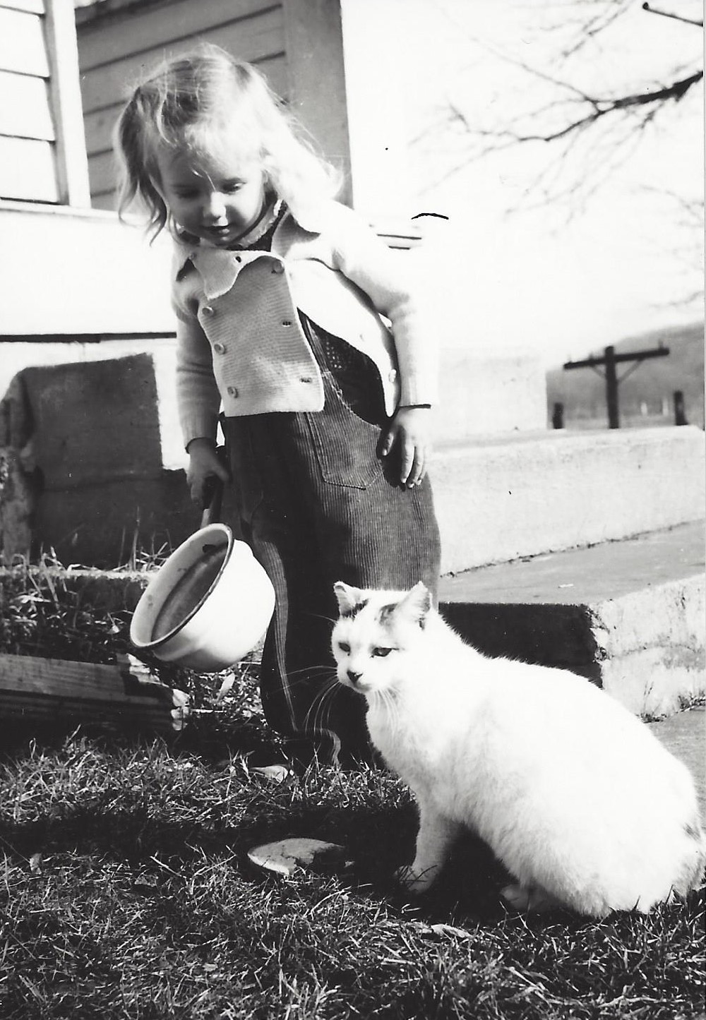 Annette Stixrud and cat | Finding Fertile Ground Podcast