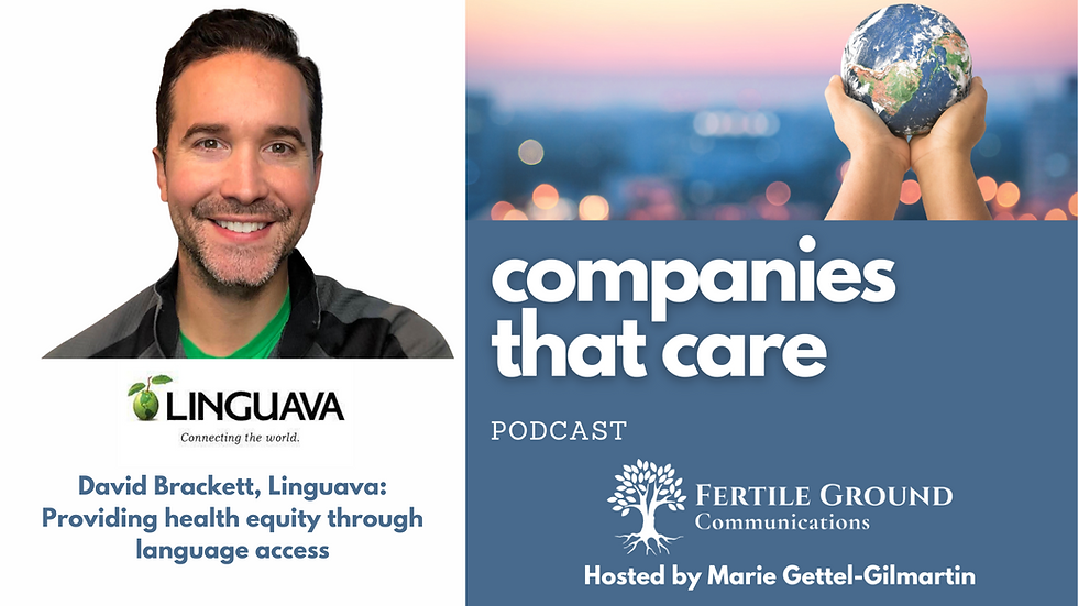 David Brackett, Linguava, on Companies That Care podcast