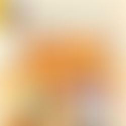 FEBRUARY 2026 Newsletter