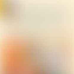 JANUARY 2026 Newsletter