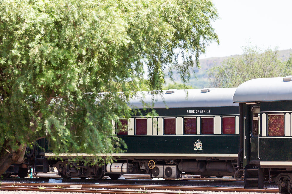 RVR-CoachesTrees-HRes.jpg
