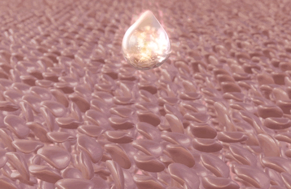6.gif