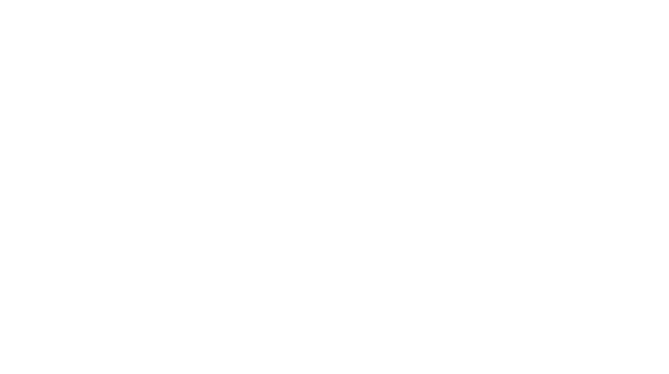 2a.png