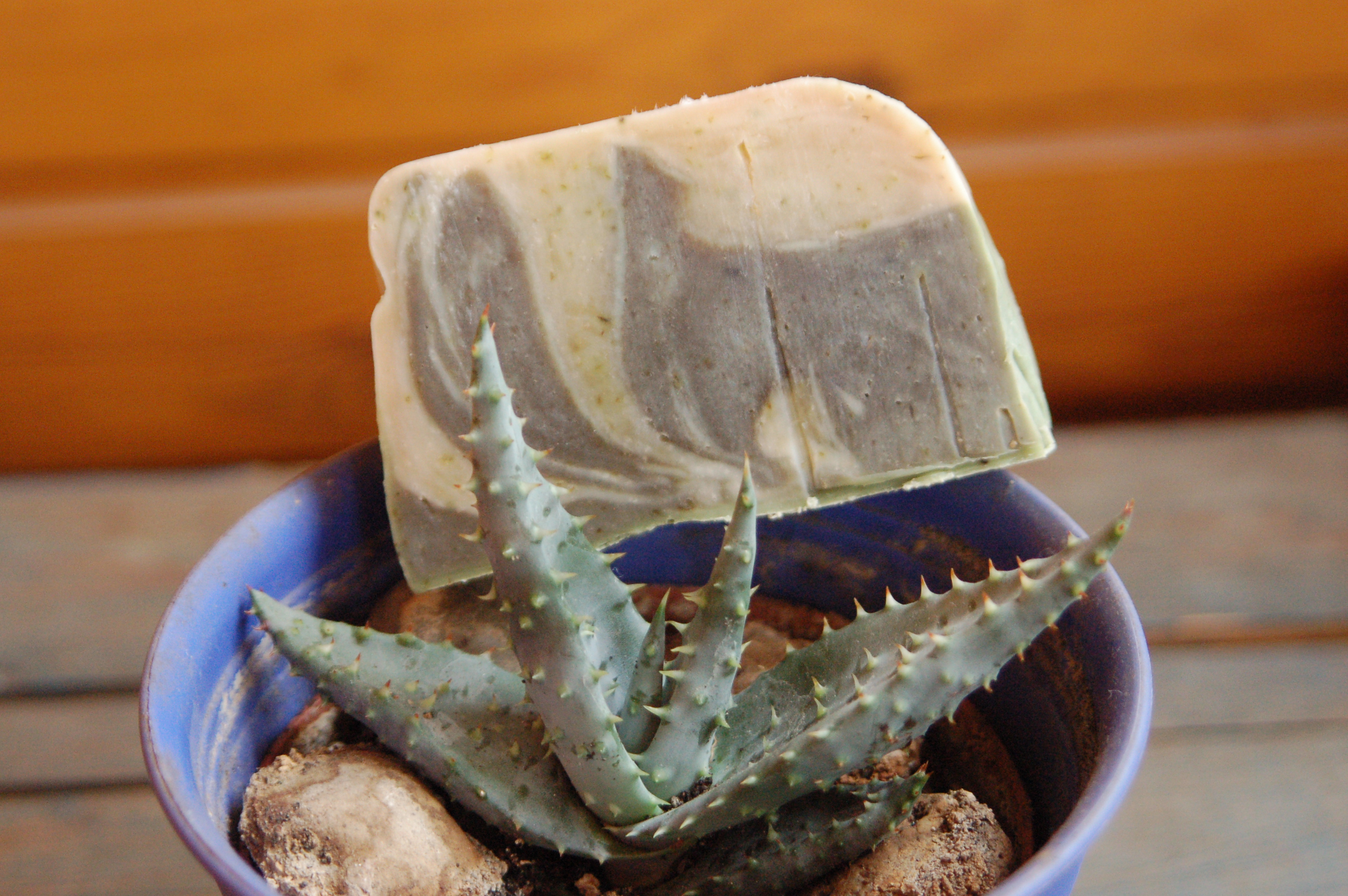 Aloe vera szappan