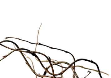 Infrastructure & Operations - mobile.png