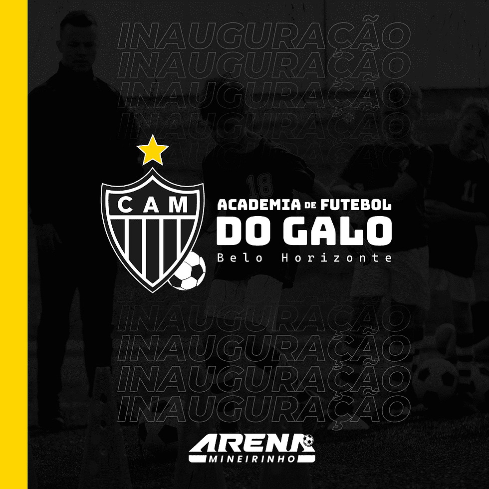 Post Academia do Galo