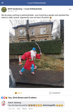 wizardWVP.jpeg