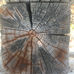 inspirations on texture