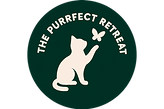 Jersey Cattery | Purrfect Retreat