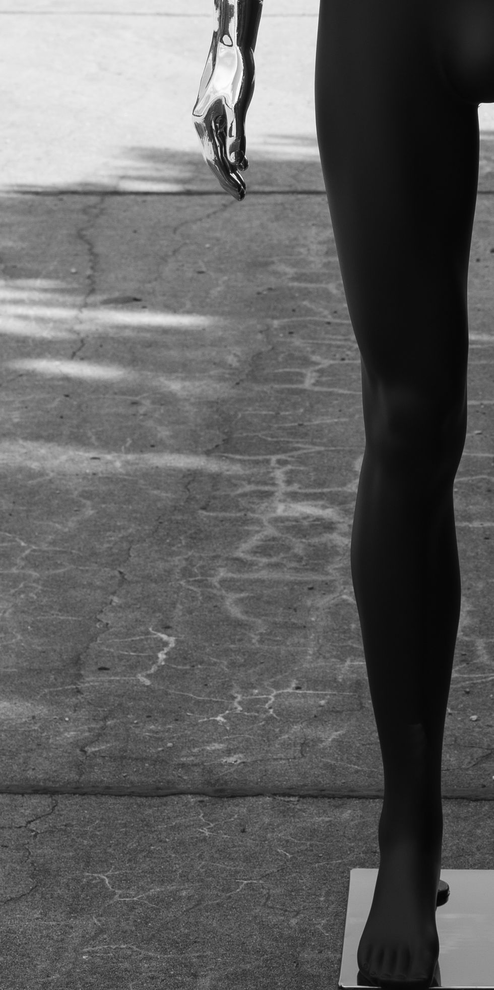 Bodyparts
