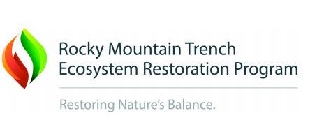 TWO SUCCESSFUL PRESCRIBED BURNS IN THE ROCKY MOUNTAIN TRENCH SPRING 2021