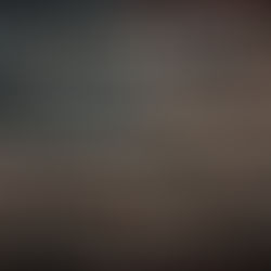 „USA“ von OpCritical