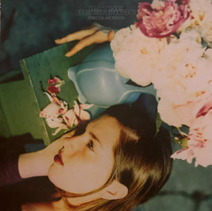 ,,IN THE BEGINNING” von Rebecca Anderson