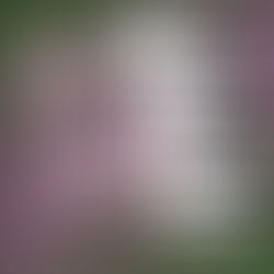 „For Good (For Singing Fingers)" von Matt Johnson