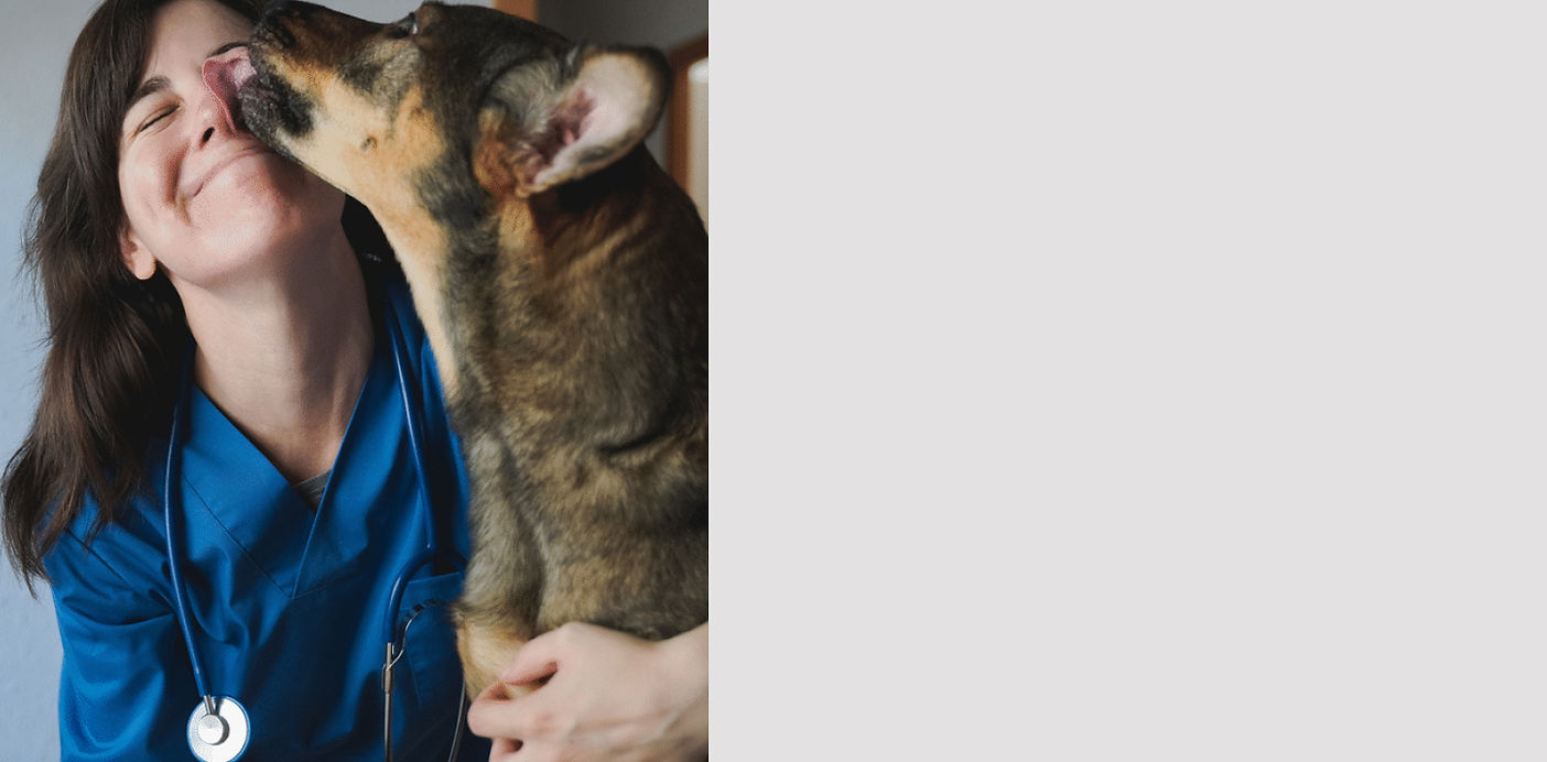 zignature_home banner2.jpg