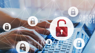 Cybersecurity Best Practices for Small Businesses