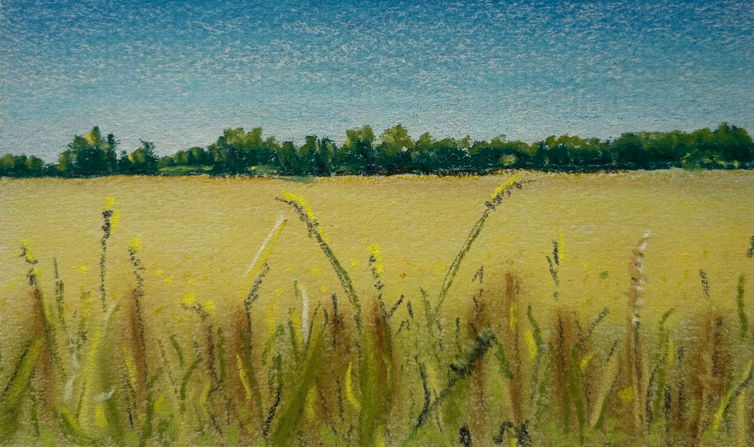 Croft Path Summer Original Chalk Pastel Landscape