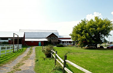 Lively Run Goat Dairy