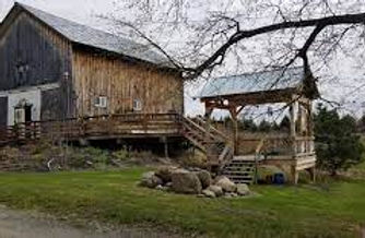 Rasta Ranch Vineyards