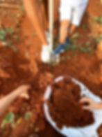 RNI-Films-IMG-450213F6-D120-4283-9956-CE083EDC58B4 2 (1).JPG