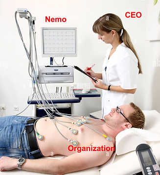 Nemo EKG.png