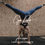 Miniaturbild: GYM LR PRESETS