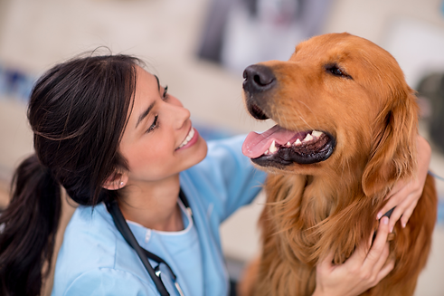 eterinary 24/7, Appointment Reminder for Florida, GA and across the United EHR Assist Dog