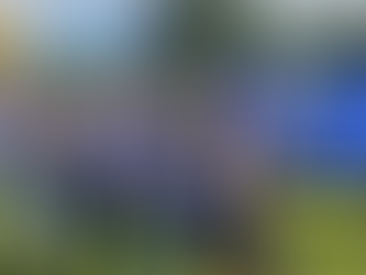 The Important Role of the Administrative Hearing Office at the CNMI Department of Labor