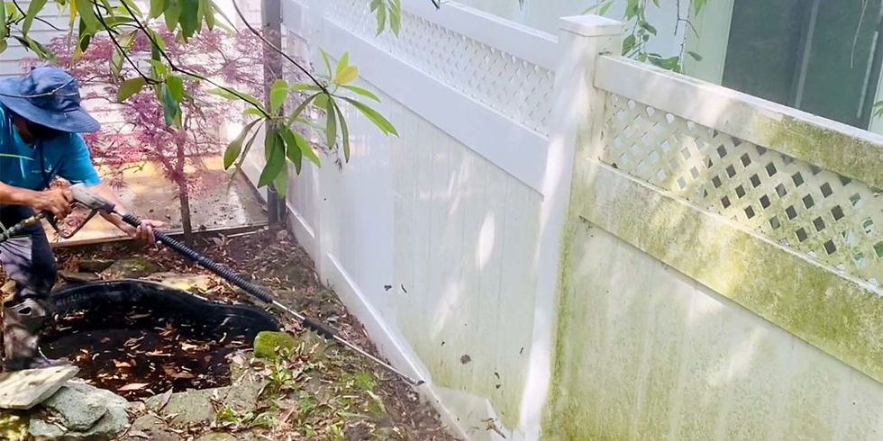 Eye-level view of a clean fence after pressure washing
