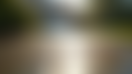 Transform Your Space with Expert Cleaning: Professional Cleaning Benefits