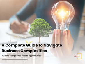 Legal Advisory Services in Vietnam: A Complete Guide to Navigate Business Complexities