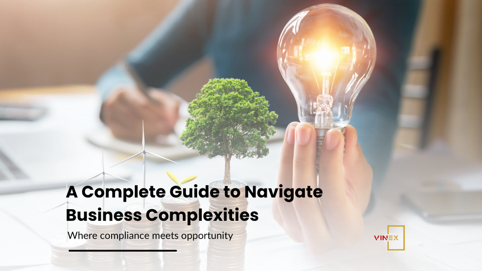 A business professional holding a glowing light bulb beside a small tree growing from stacked coins, symbolizing legal advisory services in Vietnam that turn compliance into growth opportunities for international investors.