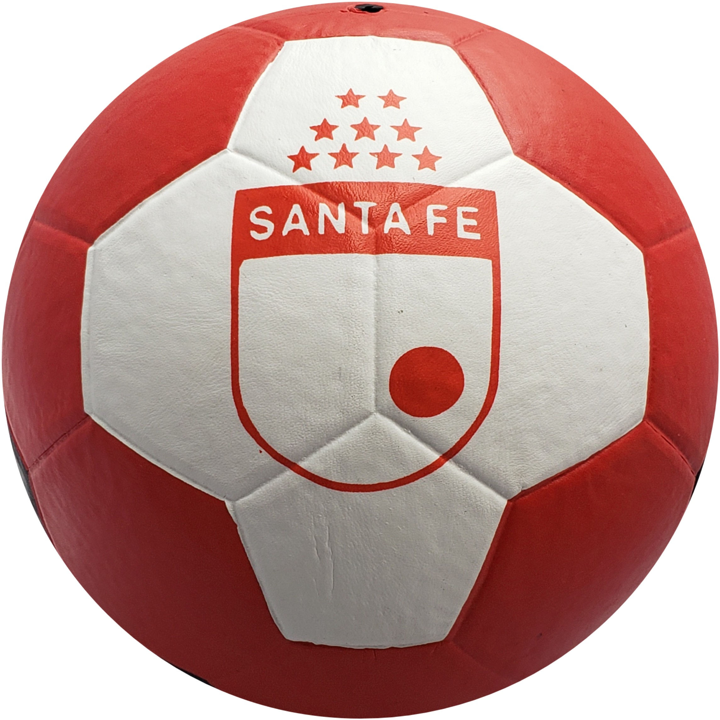 Hincha oficial Santa Fe #5