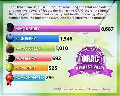 ภาพหน้าจอ 2562-05-29 เวลา 12.36.41.png