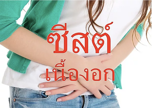 ภาพหน้าจอ 2562-08-17 เวลา 18.02.25.png