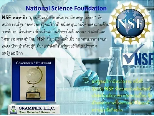 ภาพหน้าจอ 2562-05-29 เวลา 13.14.18.png