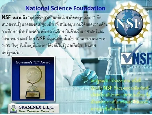 ภาพหน้าจอ 2562-05-29 เวลา 13.14.18.png