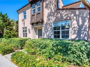 51 Night Bloom, Irvine